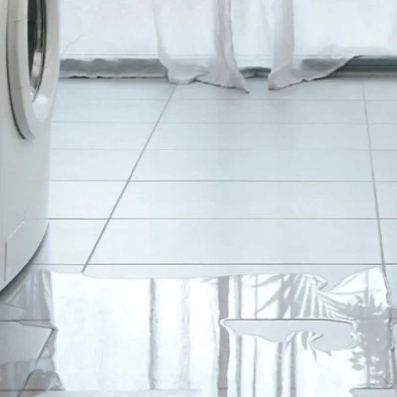 Appliance Leak Cleanup in Cannon Falls, MN